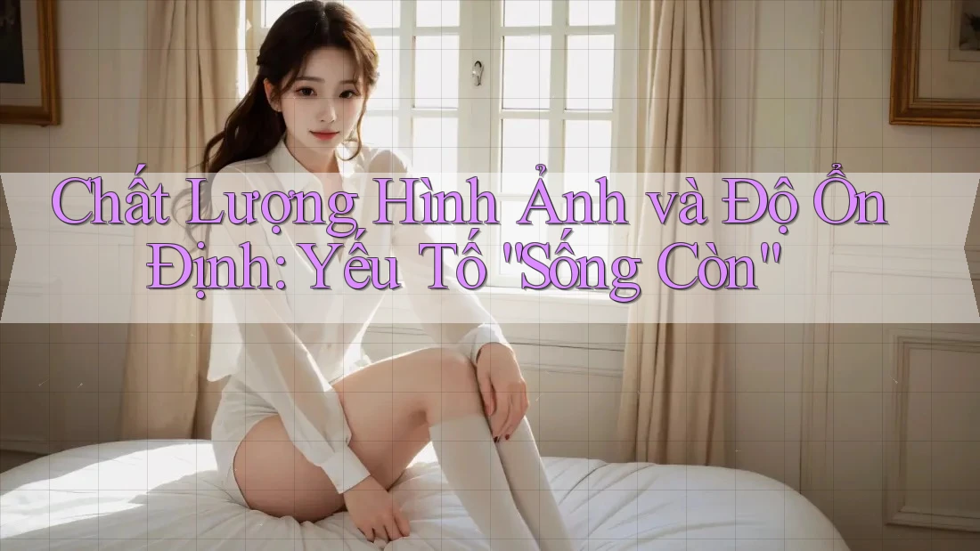 Chất Lượng Hình Ảnh và Độ Ổn Định: Yếu Tố “Sống Còn”