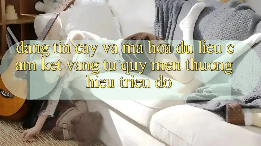 Đáng tin cậy Và Mã hóa dữ liệu: Cam Kết Vàng Từ Quý mến thương Hiệu Triệu Đô