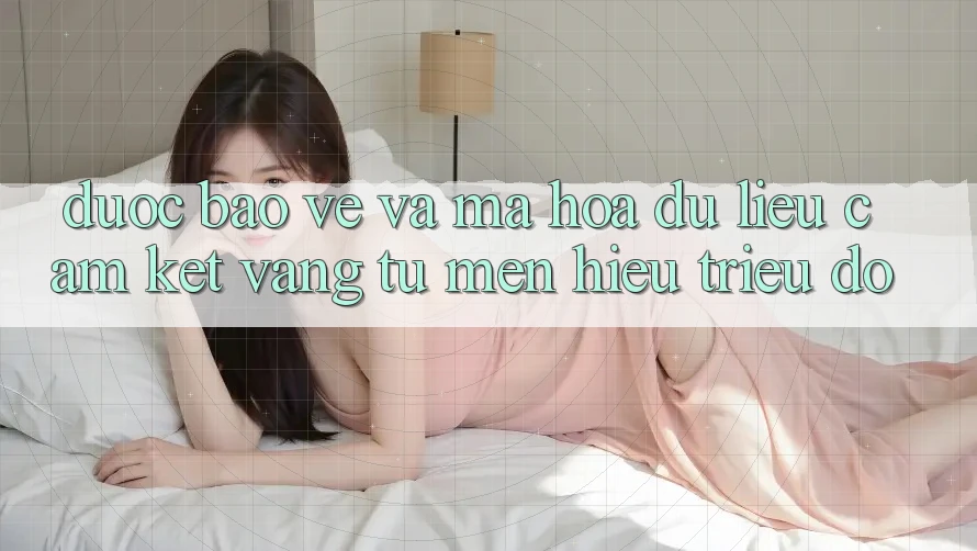 Được bảo vệ Và Mã hóa dữ liệu: Cam Kết Vàng Từ Mến Hiệu Triệu Đô