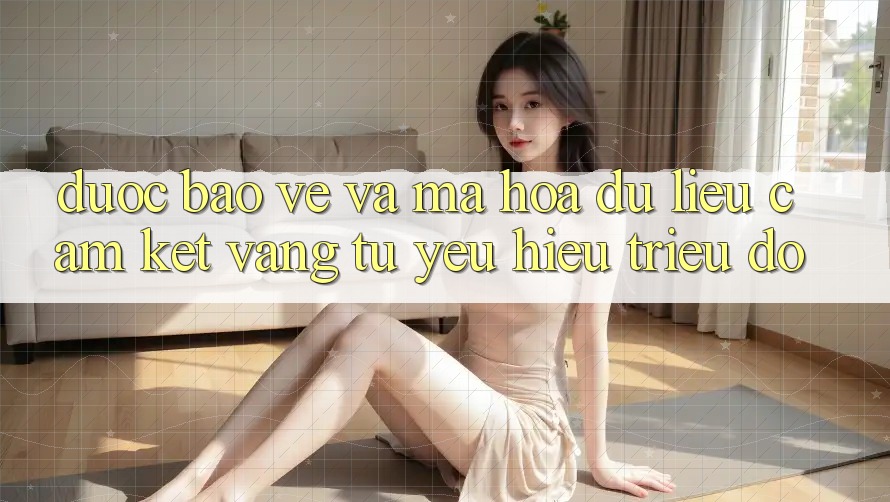 Được bảo vệ Và Mã hóa dữ liệu: Cam Kết Vàng Từ Yêu Hiệu Triệu Đô
