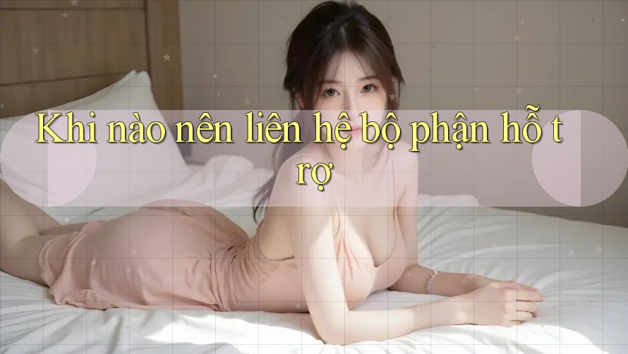 Khi Nào Nên Liên Hệ Bộ Phận Hỗ Trợ?