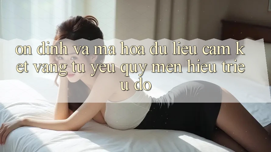 Ổn định Và Mã hóa dữ liệu: Cam Kết Vàng Từ Yêu quý mến Hiệu Triệu Đô