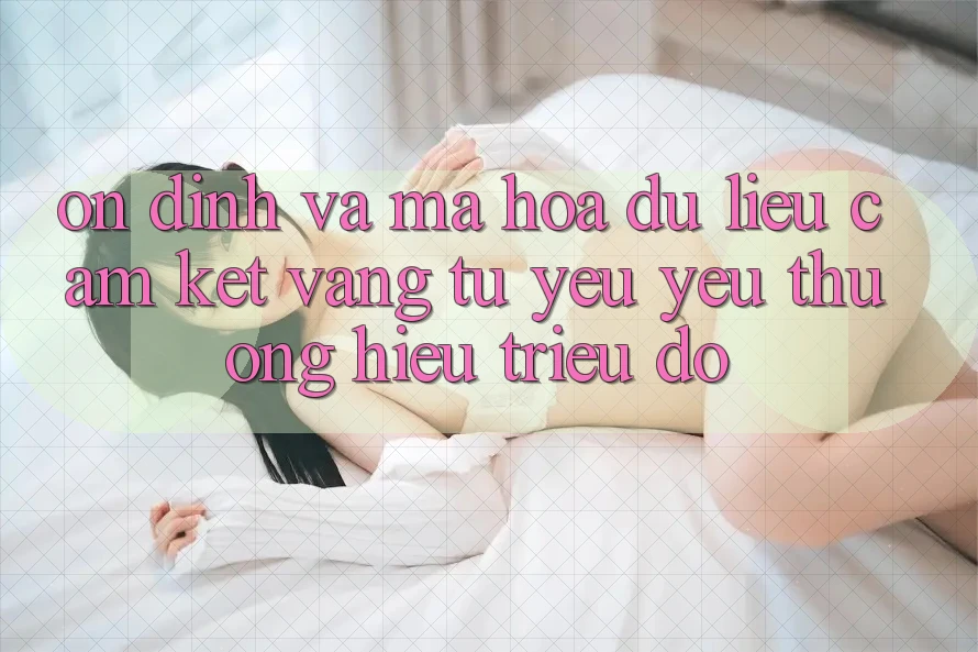 Ổn định Và Mã hóa dữ liệu: Cam Kết Vàng Từ Yêu yêu thương Hiệu Triệu Đô