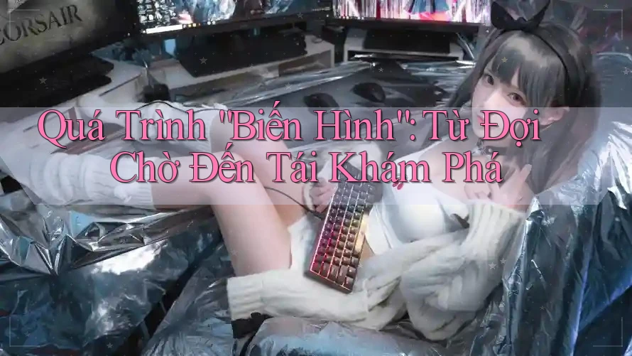 Quá Trình “Biến Hình”: Từ Đợi Chờ Đến Tái Khám Phá