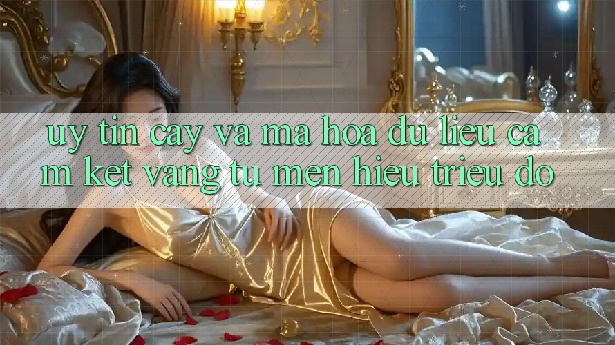 Uy tín cậy Và Mã hóa dữ liệu: Cam Kết Vàng Từ Mến Hiệu Triệu Đô